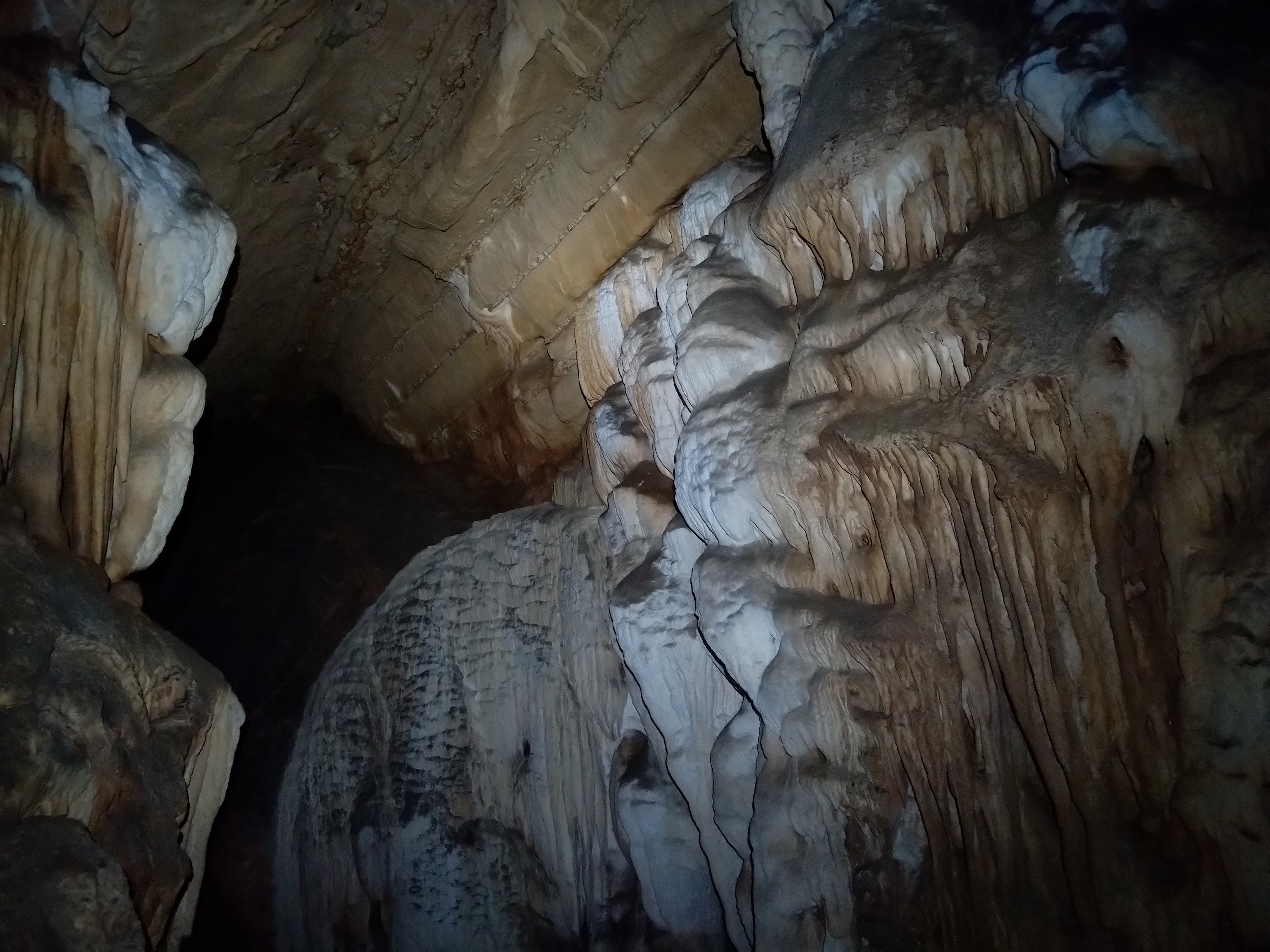 Peștera Toplița Nr.3 - Image 5